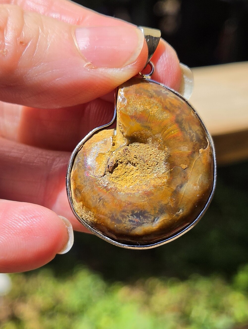 Opalized Ammonite Fossil Sterling Silver Pendant - Picture 8 of 8
